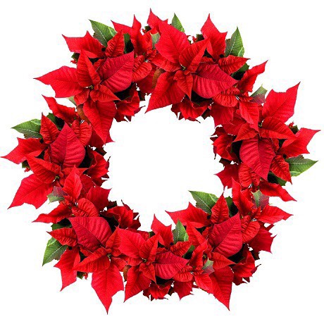 Thống kê thành tích học sinh giỏi các cấp